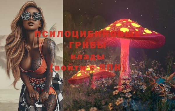 apvp Алексеевка