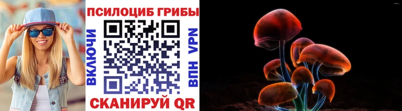 Псилоцибиновые грибы мухоморы  Санкт-Петербург 