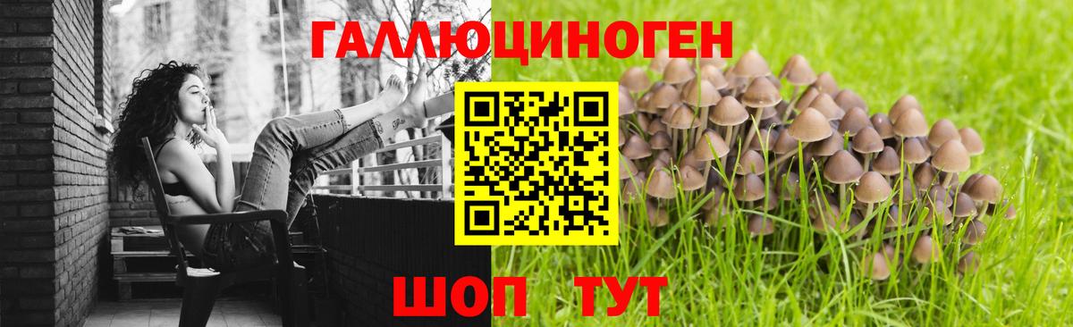 Псилоцибиновые грибы мицелий Санкт-Петербург